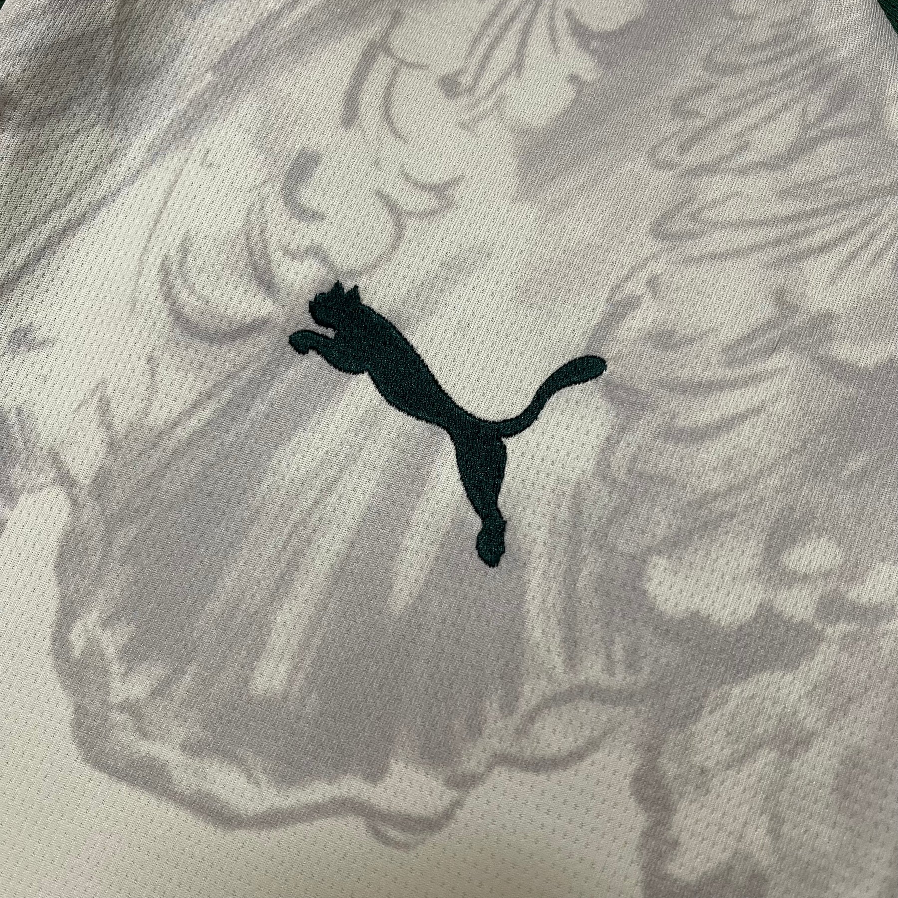 Camisa Palmeiras Puma Mundial 2025 - Torcedor Masculina