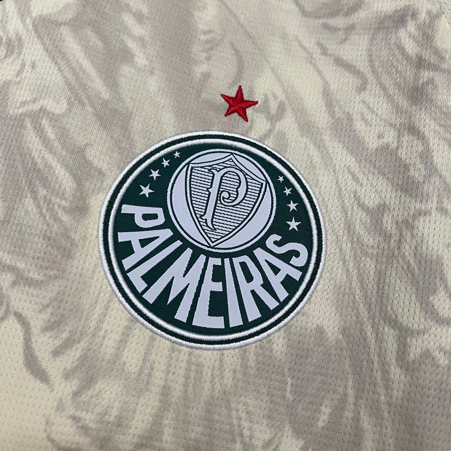Camisa Palmeiras Puma Mundial 2025 - Torcedor Masculina